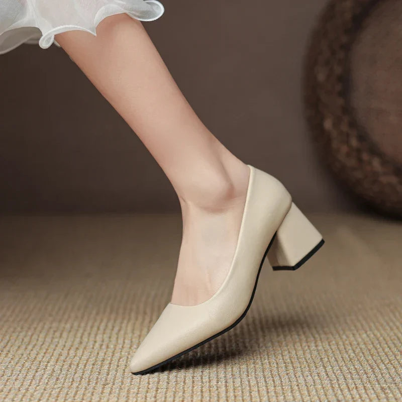 Women's pointed toe block heel pumps; comfortable, professional footwear for office & formal events.
