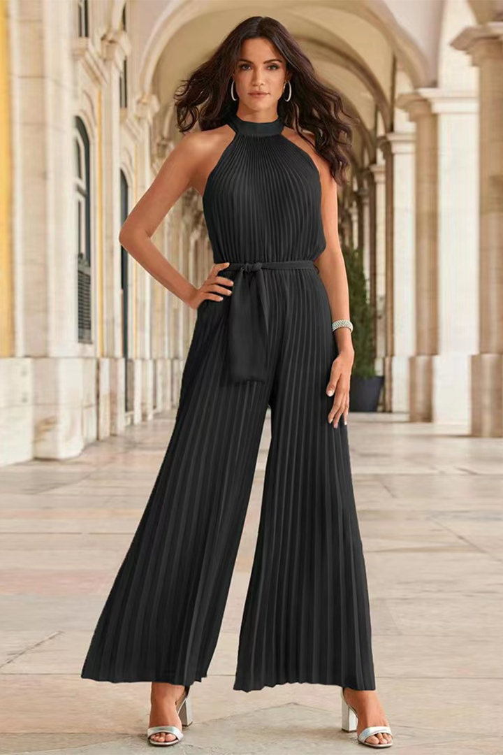 Elegant women's pleated jumpsuit, ideal for dinner outfits or sophisticated casual wear. Comfortable one-piece style.