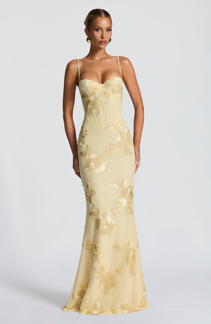 Women's elegant floral appliqué corset mermaid maxi dress, perfect for formal evenings & galas.