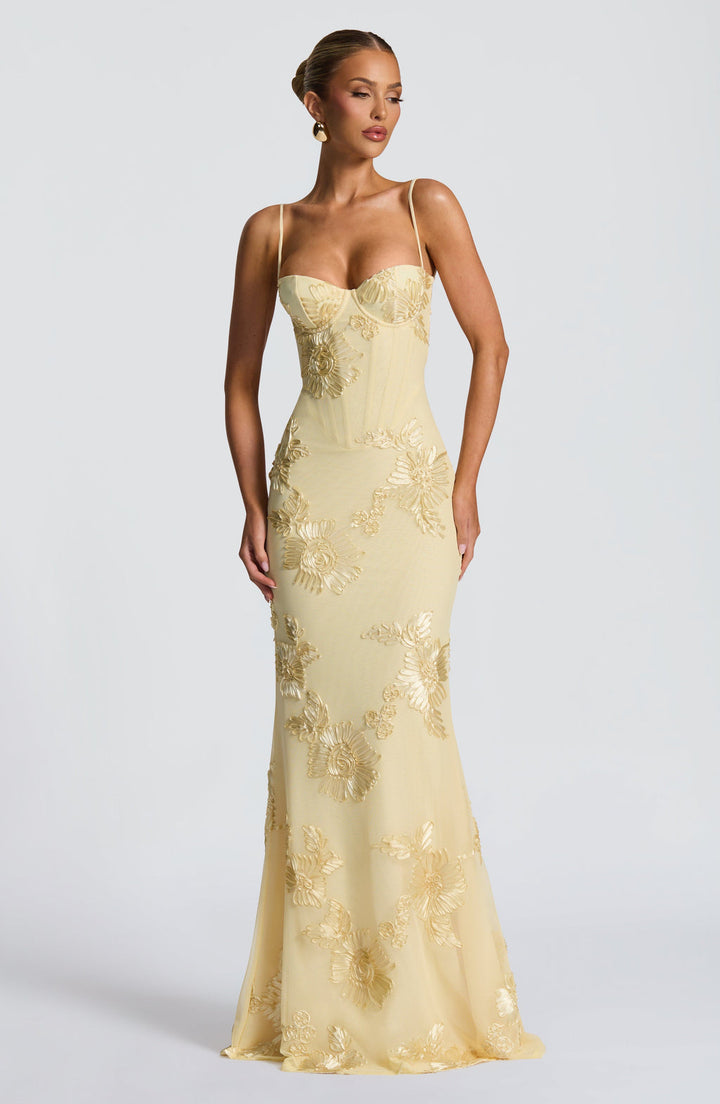 Stunning mermaid maxi dress with delicate floral appliqués & a structured corset top. Ideal for proms.
