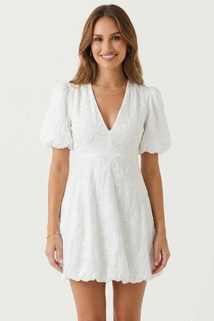 Elegant women's mini dress featuring delicate embroidery, stylish puff sleeves, and a flattering V-neck.
