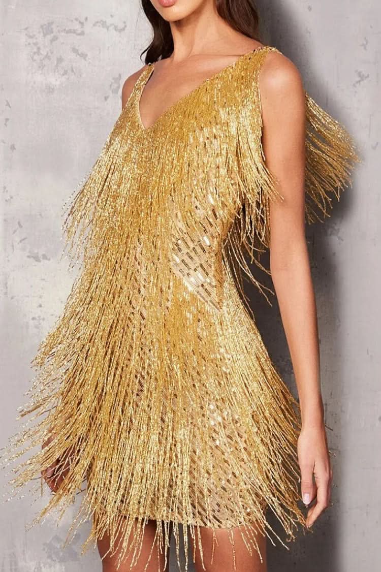 Women's sparkling A-line fringe dress, a glamorous choice for evening parties & special occasions.